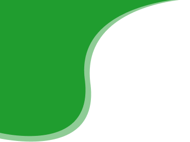 hero-shape-2-1