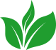 testimonials-leaf-hover-1