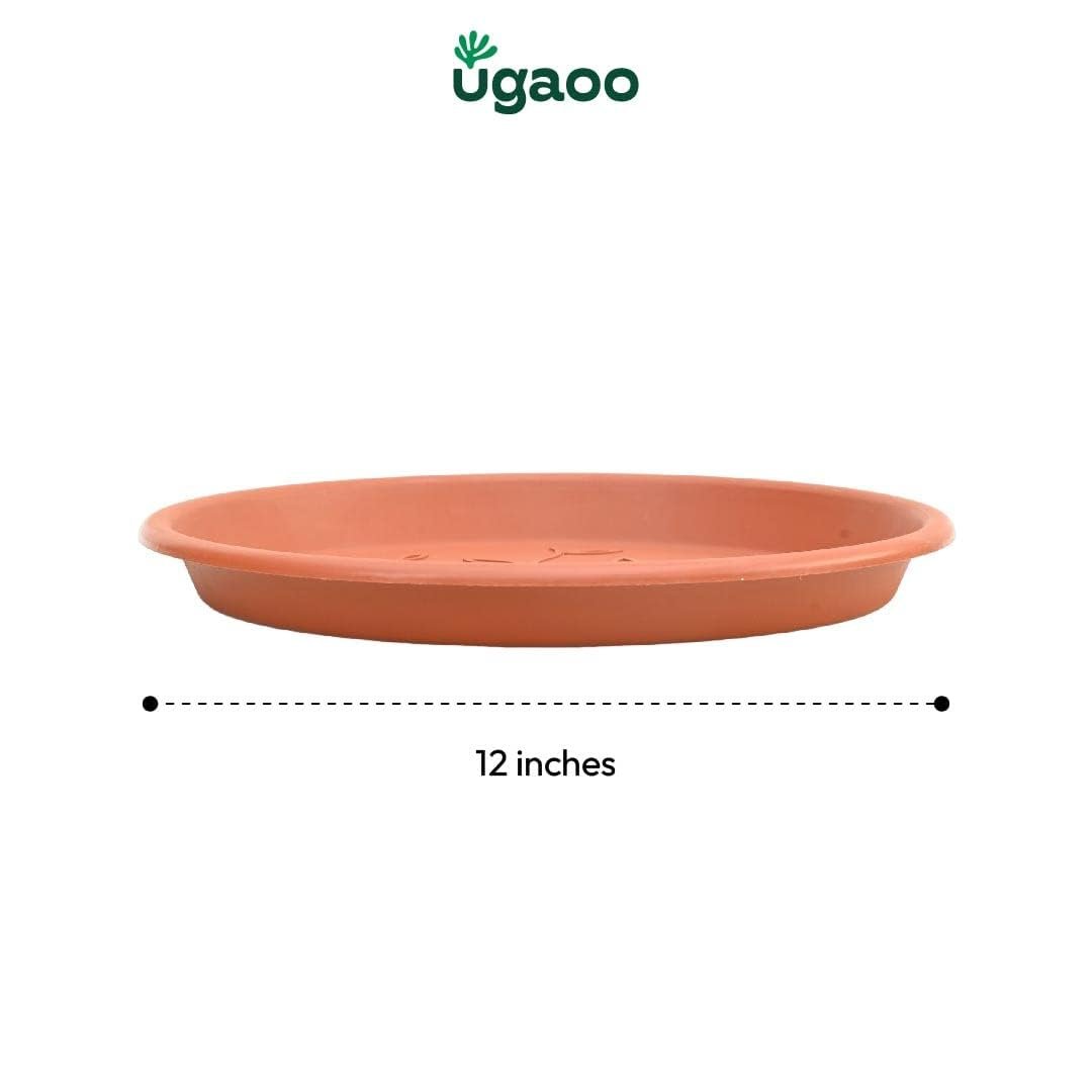 UGAOO UV Treated Gardening Pots with Saucer(Bottom Tray) for Plants – 12 Inch (Terracotta) Plastic Plant Pots | Indoor & Outdoor Planters for Home, Balcony & Garden | Set of 10 - Image 5