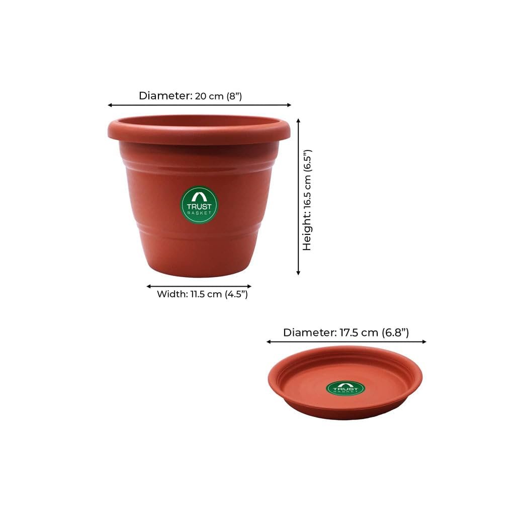 TrustBasket Terracotta pots with Bottom Plates - 6 Pcs (8 inch) | Gamla for Plants with Saucer | Pots and planters with Tray | Garden pots & Bottom Plates - Image 7