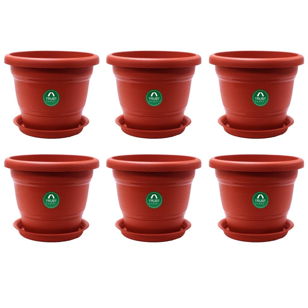 TrustBasket Terracotta pots with Bottom Plates - 6 Pcs (8 inch) | Gamla for Plants with Saucer | Pots and planters with Tray | Garden pots & Bottom Plates