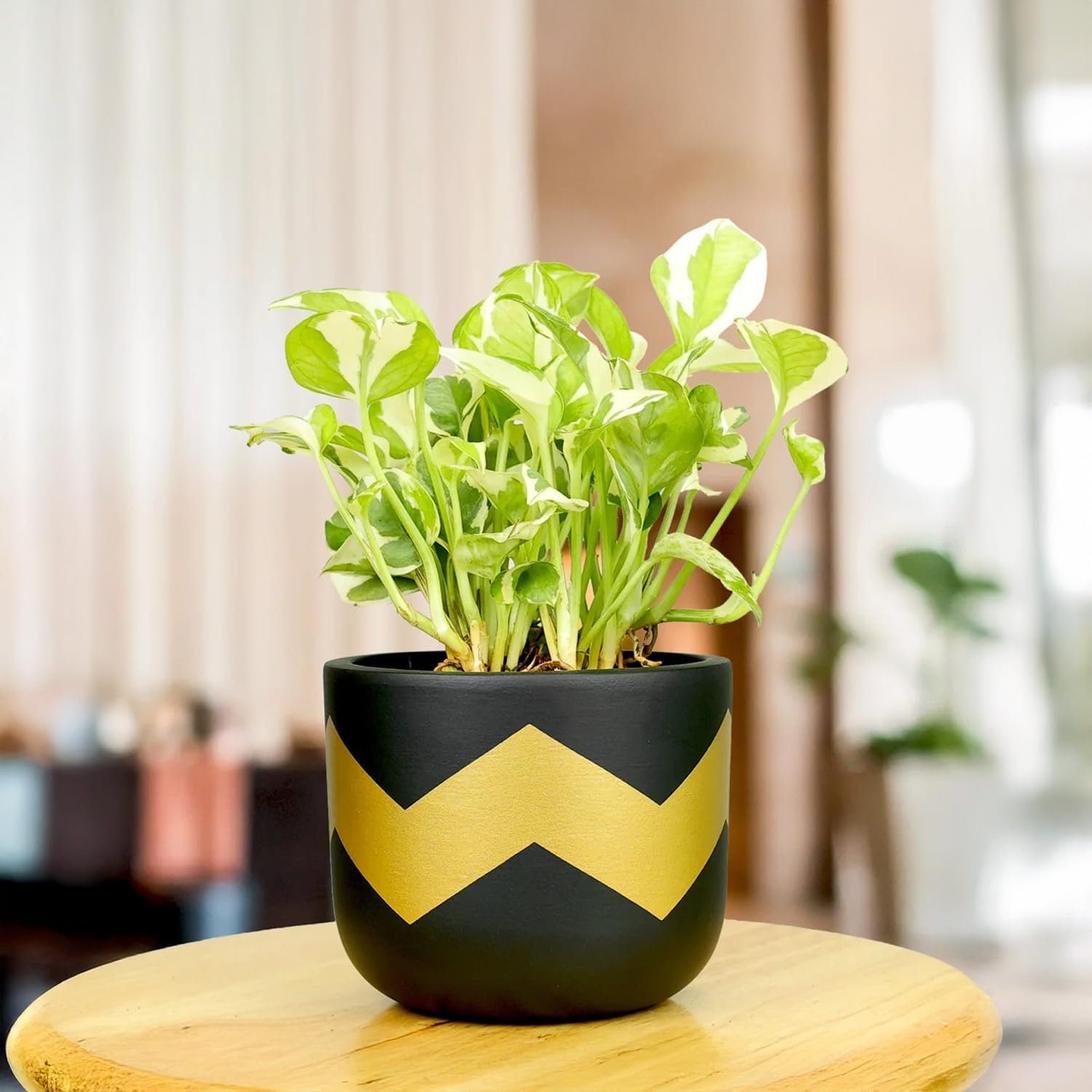TrustBasket Terra Craze Small Clay Flower Pots Set of 3 | Black & Gold Terracotta Clay Flower Pot | Mud Plant Container | Handmade Pots | Gamla for Plants | Clay Pots for Plants | Indoor Outdoor Use - Image 4