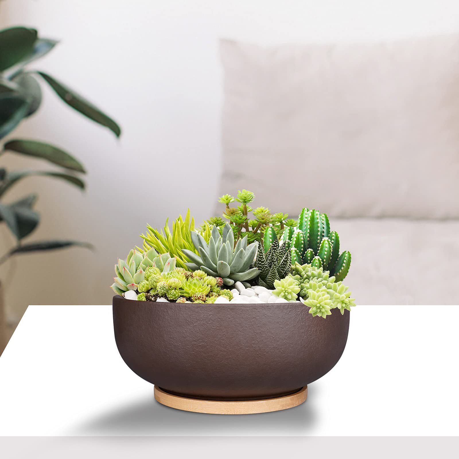 SQOWL 10 Inch Large Terracotta Planter Pot,Clay Succulent Bonsai Planter with Drainage Hole and Bamboo Saucer for Indoor Plants - Image 9