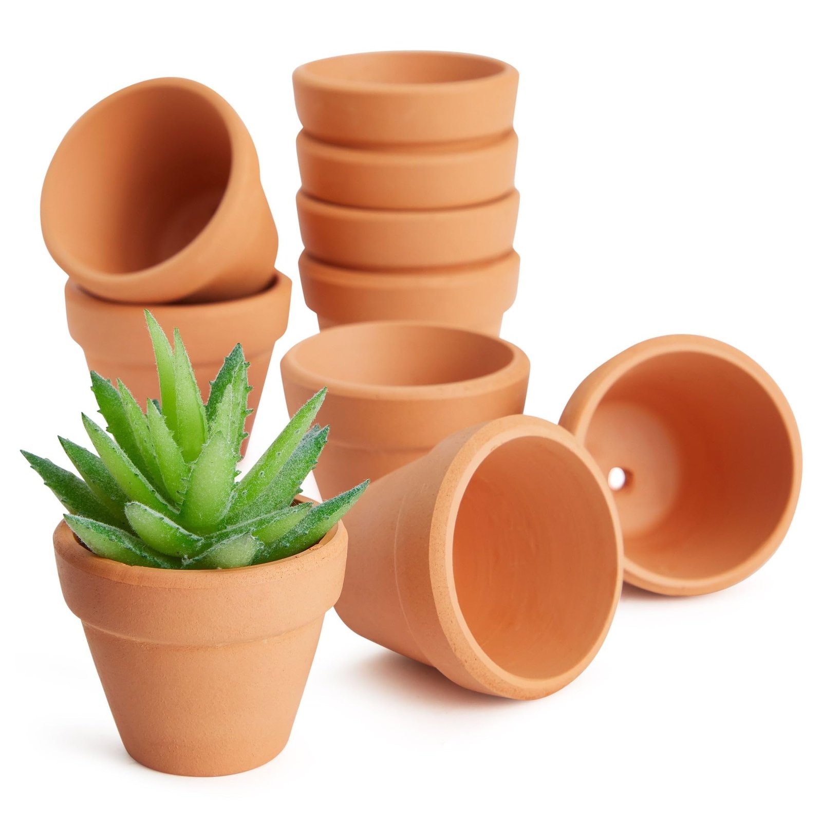Terra Cotta Plant Pots, Small Clay Flower Pots, Set of 2, Natural Earthenware