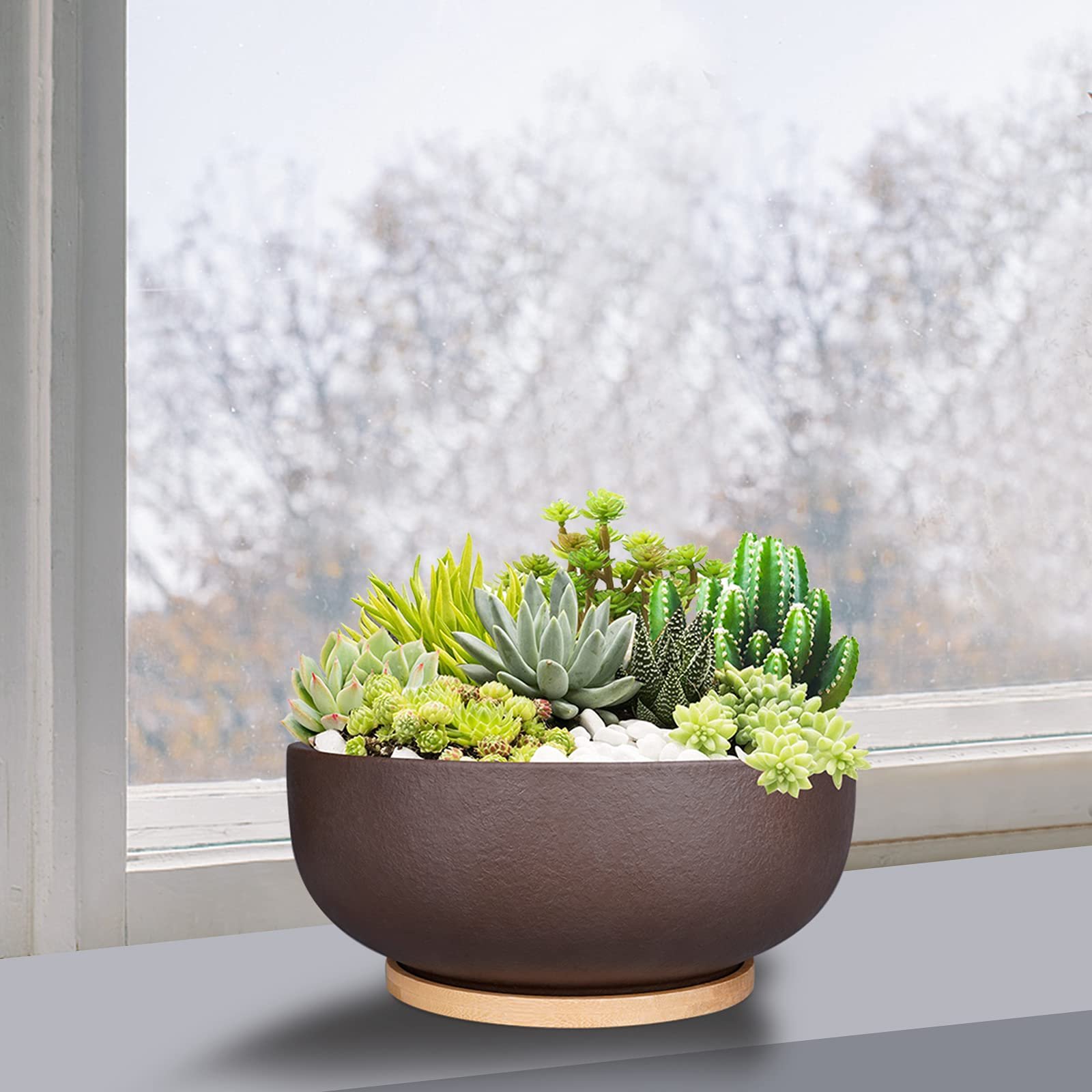 SQOWL 10 Inch Large Terracotta Planter Pot,Clay Succulent Bonsai Planter with Drainage Hole and Bamboo Saucer for Indoor Plants - Image 8
