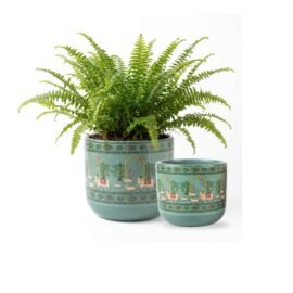 Nivirescent™ Terracotta Planters Combo of 2, Komala Pair | Flower Pots for Home Decor
