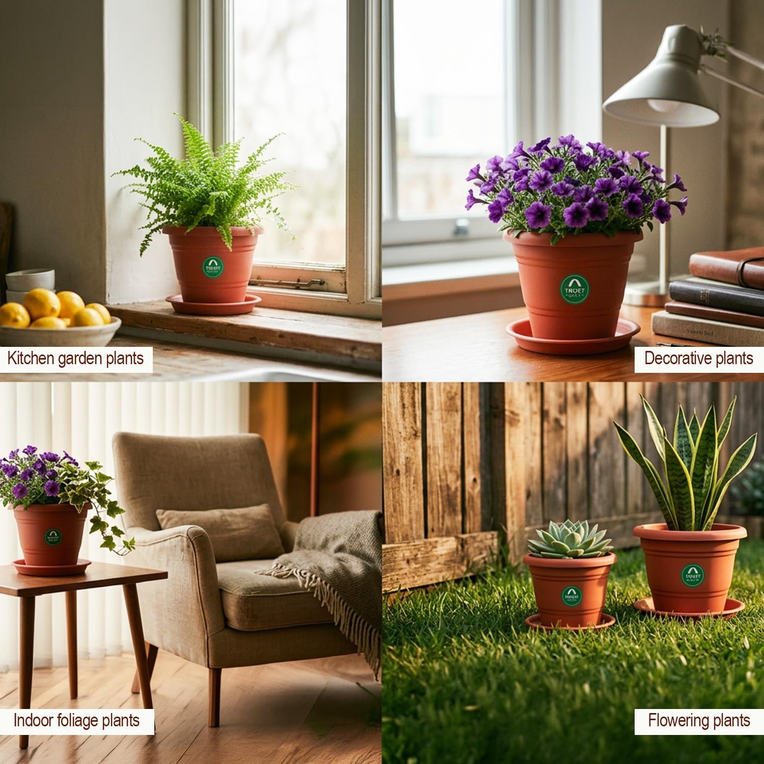 TrustBasket Terracotta pots with Bottom Plates - 6 Pcs (8 inch) | Gamla for Plants with Saucer | Pots and planters with Tray | Garden pots & Bottom Plates - Image 3