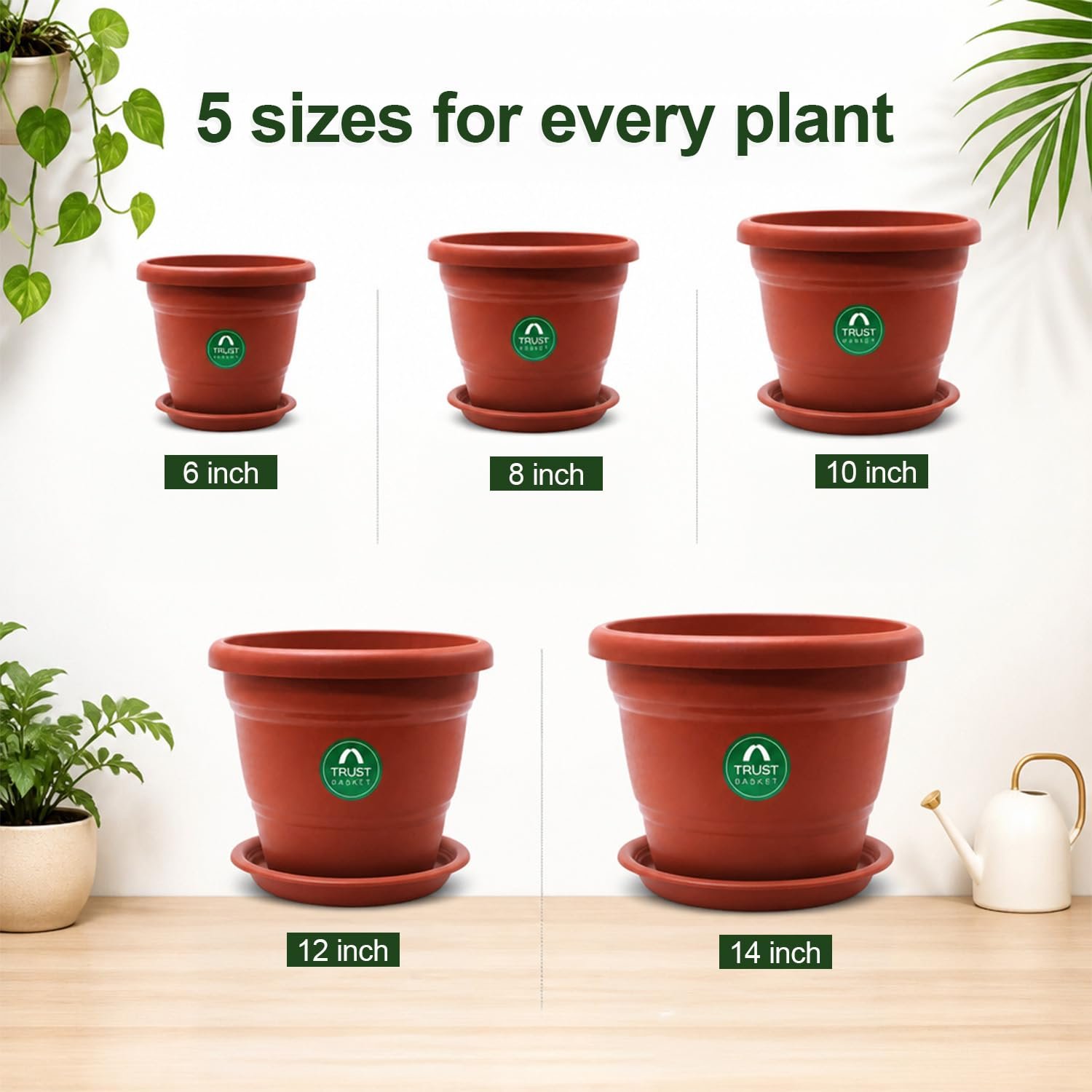 TrustBasket Terracotta pots with Bottom Plates - 6 Pcs (8 inch) | Gamla for Plants with Saucer | Pots and planters with Tray | Garden pots & Bottom Plates - Image 6