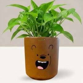 RESHA Interior & DECORTerracotta Pots for Plants Indoor Outdoor | Teddy Hand Painted Terracotta Planter | Pot for Home, Balcony, Office & Garden (White & Black, Set of 1)