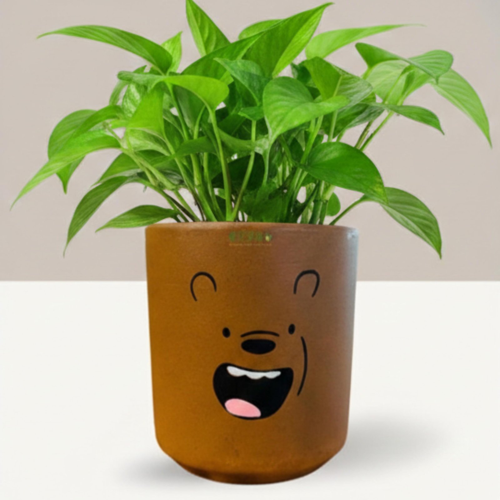 RESHA Interior & DECORTerracotta Pots for Plants Indoor Outdoor | Teddy Hand Painted Terracotta Planter | Pot for Home, Balcony, Office & Garden (White & Black, Set of 1)