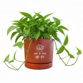 RESHA Interior & DECORTerracotta Pots for Plants Indoor Outdoor | CHATORI-3 Hand Painted Terracotta Planter | Pot for Home, Balcony, Office & Garden (Terracotta + White Text, Set of 1)