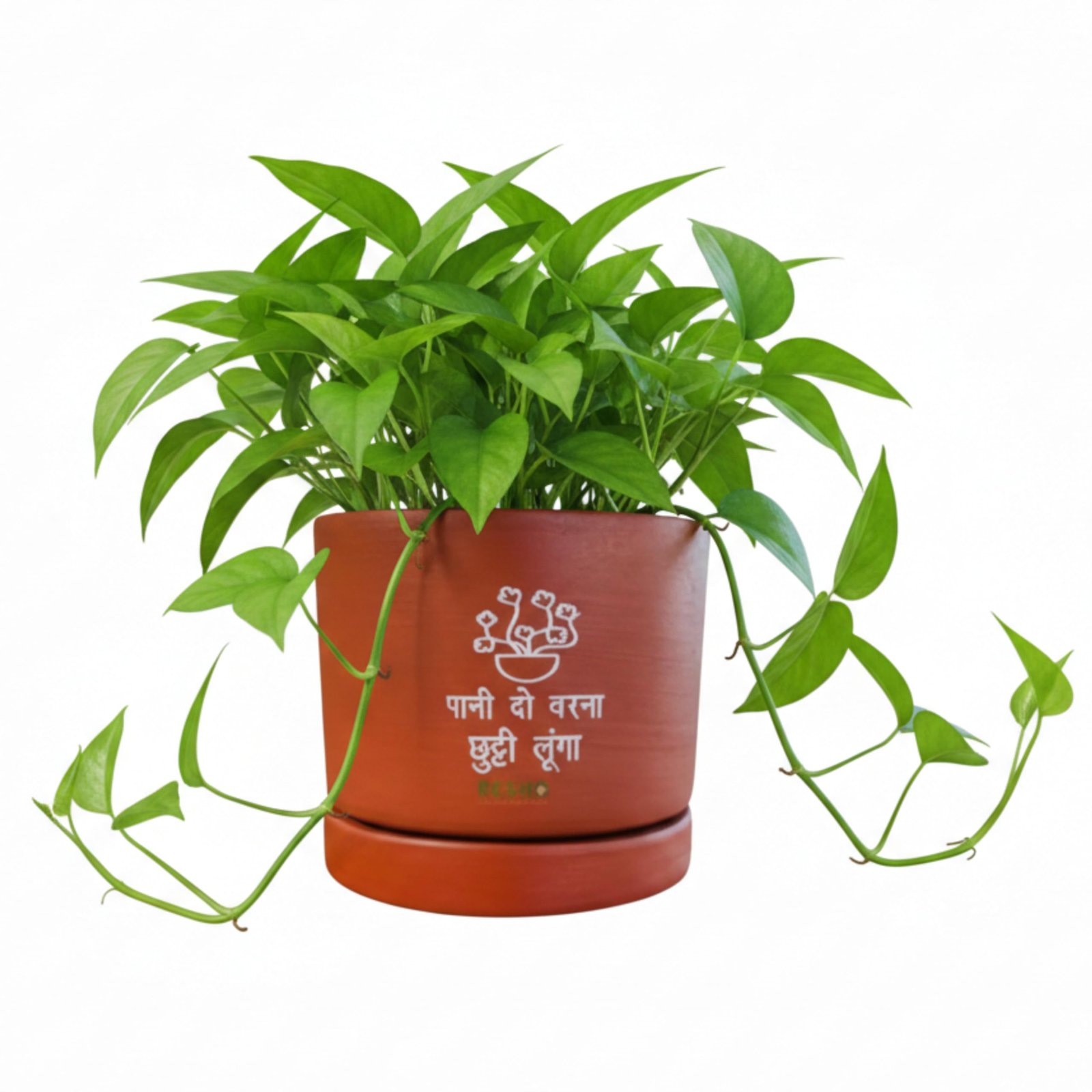 RESHA Interior & DECORTerracotta Pots for Plants Indoor Outdoor | CHATORI-3 Hand Painted Terracotta Planter | Pot for Home, Balcony, Office & Garden (Terracotta + White Text, Set of 1)