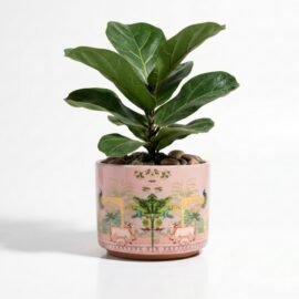 RESHA Interior & DECORTerracotta Pots for Plants Indoor Outdoor | PITCHWAI -2 Hand Painted Terracotta Planter | Pot for Home, Balcony, Office & Garden (Orange Base + White Pattern, Set of 1)
