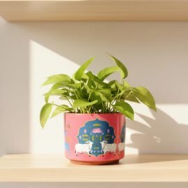 RESHA Interior & DECORTerracotta Pots for Plants Indoor Outdoor | PITCHWAI-1 Hand Painted Terracotta Planter | Pot for Home, Balcony, Office & Garden (Orange Base + White Pattern, Set of 1)