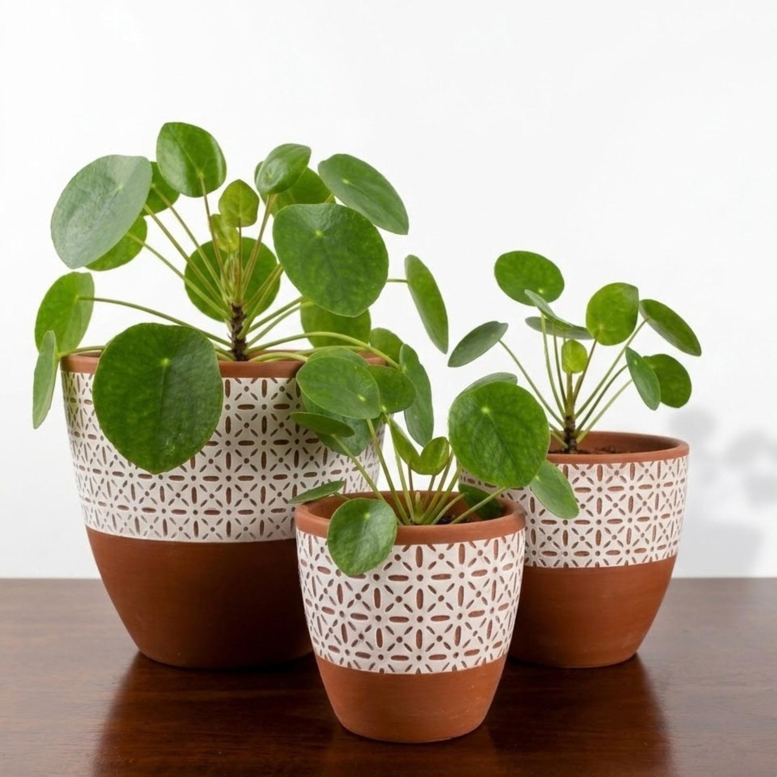 RESHA Interior & DECORTerracotta Pots for Plants Indoor Outdoor | Aarna -1 Hand Painted Terracotta Planter | Pot for Home, Balcony, Office & Garden (Terracotta Base + White Pattern, Set of 3) - Image 2