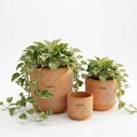 RESHA Interior & DECORTerracotta Pots for Plants Indoor Outdoor | RIVAAH-2 Hand Painted Terracotta Planter | Pot for Home, Balcony, Office & Garden (Orange Base + White Pattern, Set of 3)