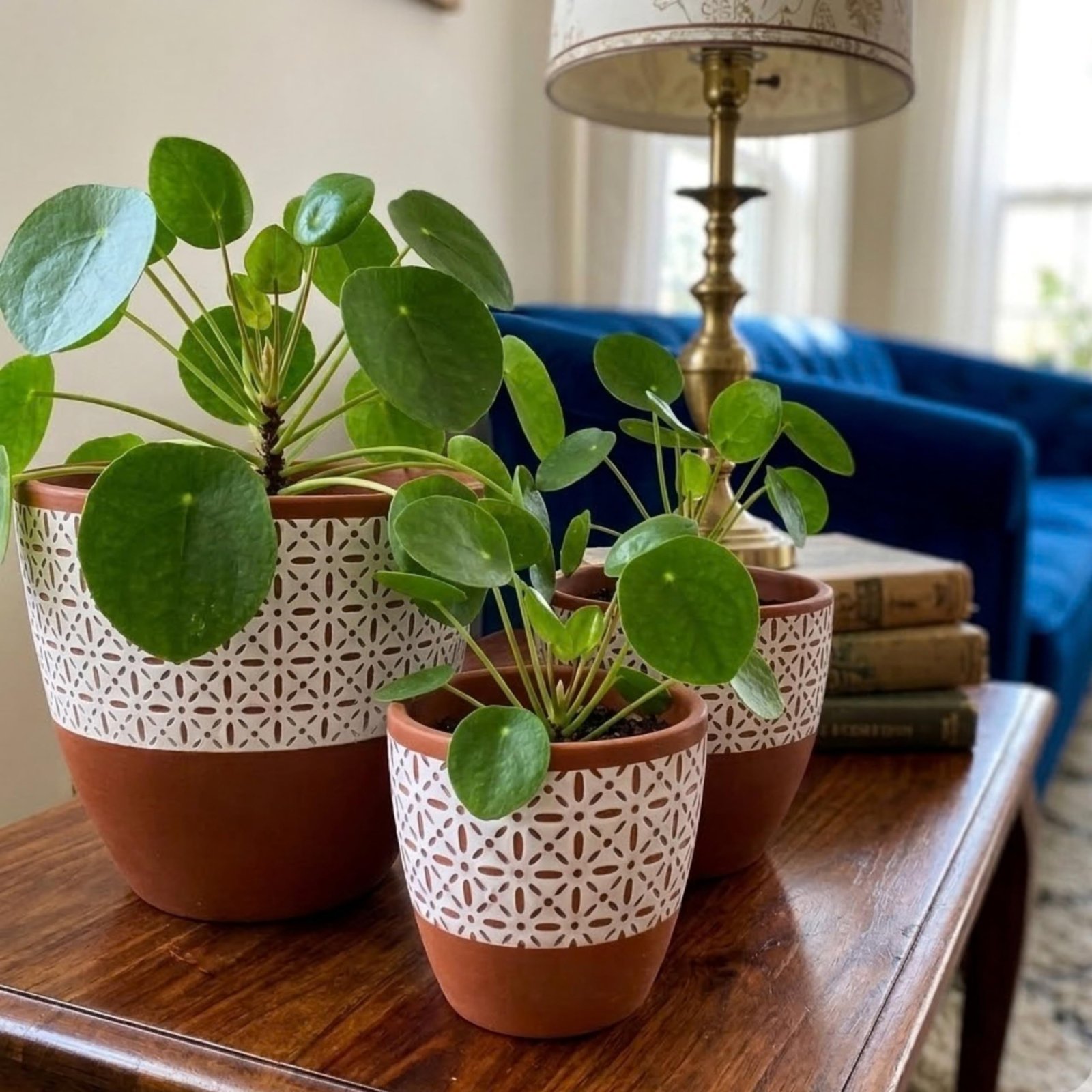 RESHA Interior & DECORTerracotta Pots for Plants Indoor Outdoor | Aarna -1 Hand Painted Terracotta Planter | Pot for Home, Balcony, Office & Garden (Terracotta Base + White Pattern, Set of 3) - Image 3